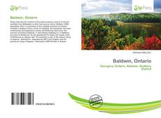 Bookcover of Baldwin, Ontario