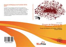 Bookcover of Coupe de Belgique de Football 2010-2011