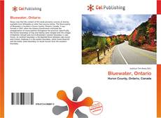 Capa do livro de Bluewater, Ontario 