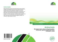Actinorhytis的封面