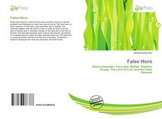 Bookcover of False Hero