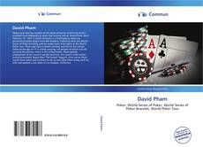 Capa do livro de David Pham 