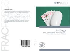 Couverture de Amnon Filippi
