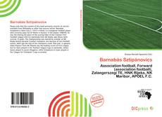 Barnabás Sztipánovics的封面