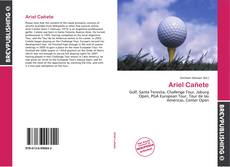 Portada del libro de Ariel Cañete