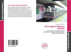 Horninglow Railway Station的封面