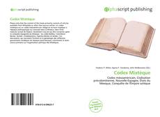 Codex Mixtèque kitap kapağı