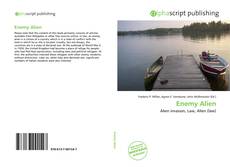 Bookcover of Enemy Alien