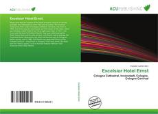 Bookcover of Excelsior Hotel Ernst