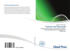 Bookcover of Colonie de Plymouth