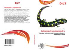 Salamandra salamandra的封面