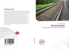 Bookcover of Breitspurbahn