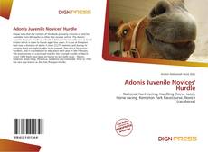 Copertina di Adonis Juvenile Novices' Hurdle