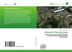 Bookcover of Calumet, Pennsylvania