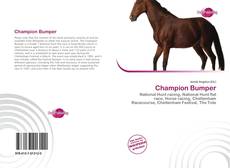 Bookcover of Champion Bumper