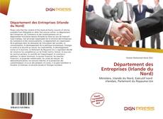 Bookcover of Département des Entreprises (Irlande du Nord)