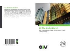 Portada del libro de 42 The Calls (Hotel)