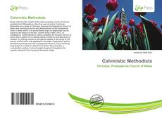 Couverture de Calvinistic Methodists