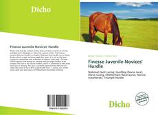 Copertina di Finesse Juvenile Novices' Hurdle