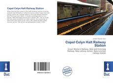 Bookcover of Capel Celyn Halt Railway Station