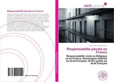 Capa do livro de Responsabilité pénale en France 