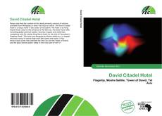 Buchcover von David Citadel Hotel