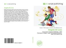 Borítókép a  Angelo Di Livio - hoz