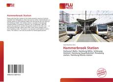 Bookcover of Hammerbrook Station