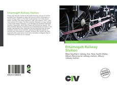 Portada del libro de Ettamogah Railway Station