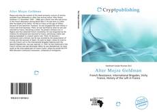 Bookcover of Alter Mojze Goldman