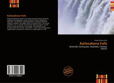 Buchcover von Kailasakona Falls