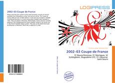 Bookcover of 2002–03 Coupe de France