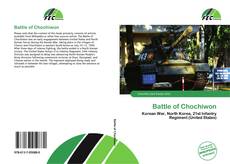 Buchcover von Battle of Chochiwon