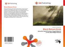 Portada del libro de Black Balsam Knob