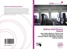 Capa do livro de Bolham Halt Railway Station 