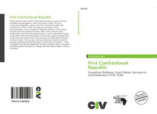 Couverture de First Czechoslovak Republic