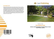 Bookcover of Kundalila Falls