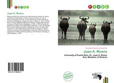 Buchcover von Juan A. Rivero