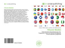 Borítókép a  Tihomir Blaškić - hoz