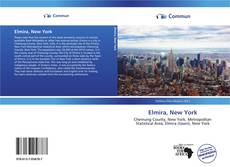 Capa do livro de Elmira, New York 