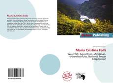 Portada del libro de Maria Cristina Falls