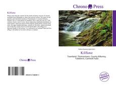 Portada del libro de Kilfane