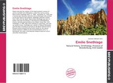 Обложка Emilie Snethlage