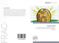 Portada del libro de David Pollet