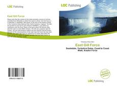 Bookcover of East Gill Force