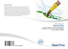 Bookcover of Darnel Situ