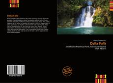 Buchcover von Della Falls