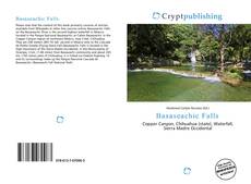 Buchcover von Basaseachic Falls