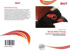 Bookcover of David Allan Young