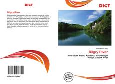 Couverture de Dilgry River